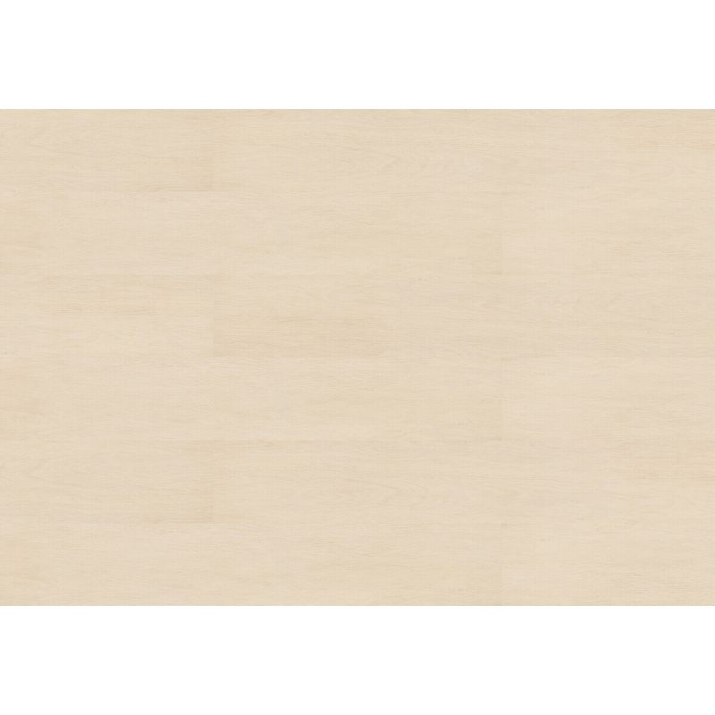 Lame de parquet en liège WISE DECOR BOIS Contempo Ivory