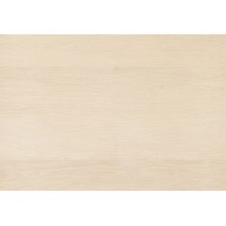 Lame de parquet en liège WISE DECOR BOIS Contempo Ivory